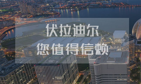 俄罗斯伏拉迪尔石油股份有限公司